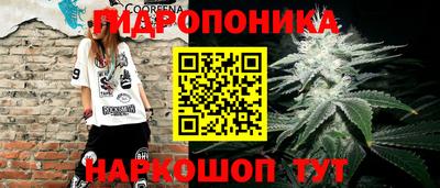 каннабис Будённовск