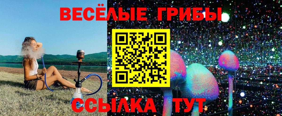 Галлюциногенные грибы мицелий Саранск