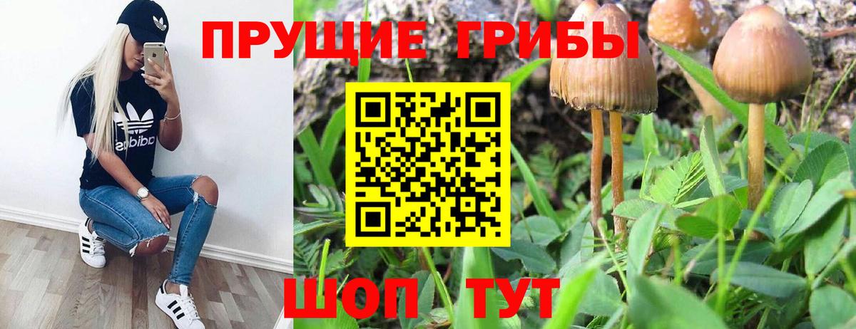 Саранск  Псилоцибиновые грибы ЛСД  Вход с VPN 